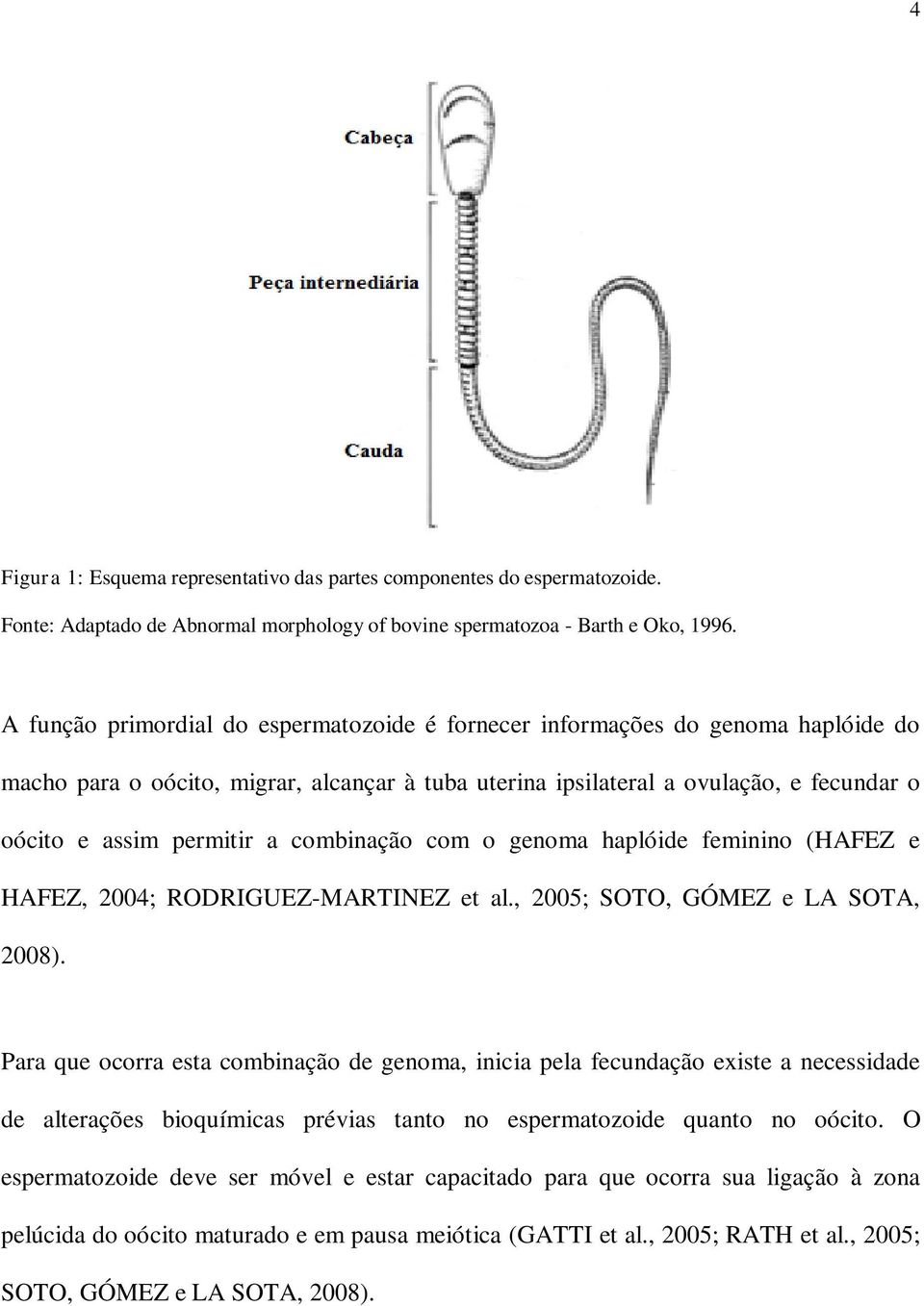 combinação com o genoma haplóide feminino (HAFEZ e HAFEZ, 2004; RODRIGUEZ-MARTINEZ et al., 2005; SOTO, GÓMEZ e LA SOTA, 2008).