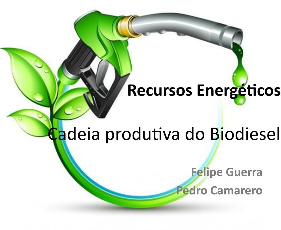 Biodiesel Felipe