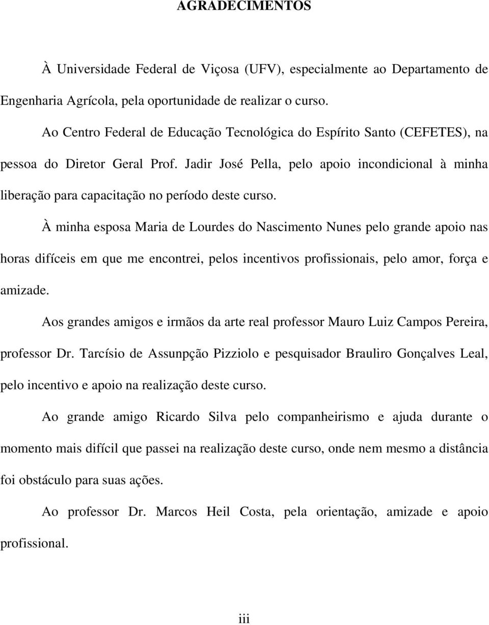 Jadir José Pella, pelo apoio incondicional à minha liberação para capacitação no período deste curso.