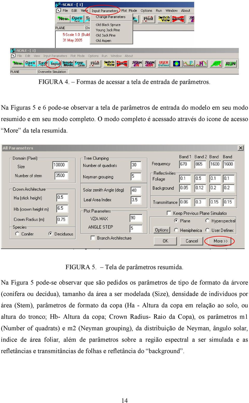 Na Figura 5 pode-se observar que são pedidos os parâmetros de tipo de formato da árvore (conífera ou decídua), tamanho da área a ser modelada (Size), densidade de indivíduos por área (Stem),