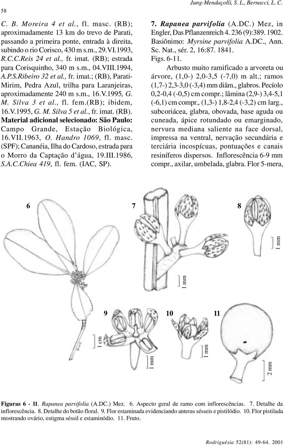 M. Silva 3 et al., fl. fem.(rb); ibidem, 16.V.1995, G. M. Silva 5 et al., fr. imat. (RB). Material adicional selecionado: São Paulo: Campo Grande, Estação Biológica, 16.VII.1963, O. Handro 1069, fl.