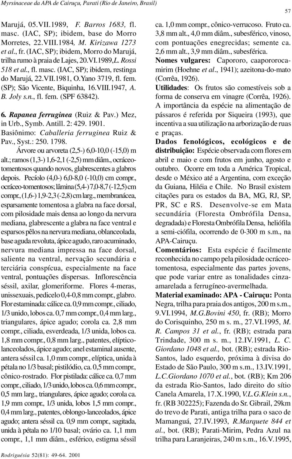 (SP); São Vicente, Biquinha, 16.VIII.1947, A. B. Joly s.n., fl. fem. (SPF 63842). 6. Rapanea ferruginea (Ruiz & Pav.) Mez, in Urb., Symb. Antill. 2: 429. 1901.