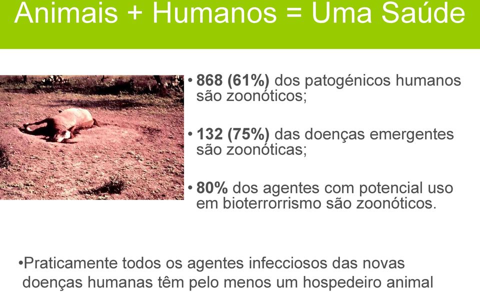 agentes com potencial uso em bioterrorrismo são zoonóticos.