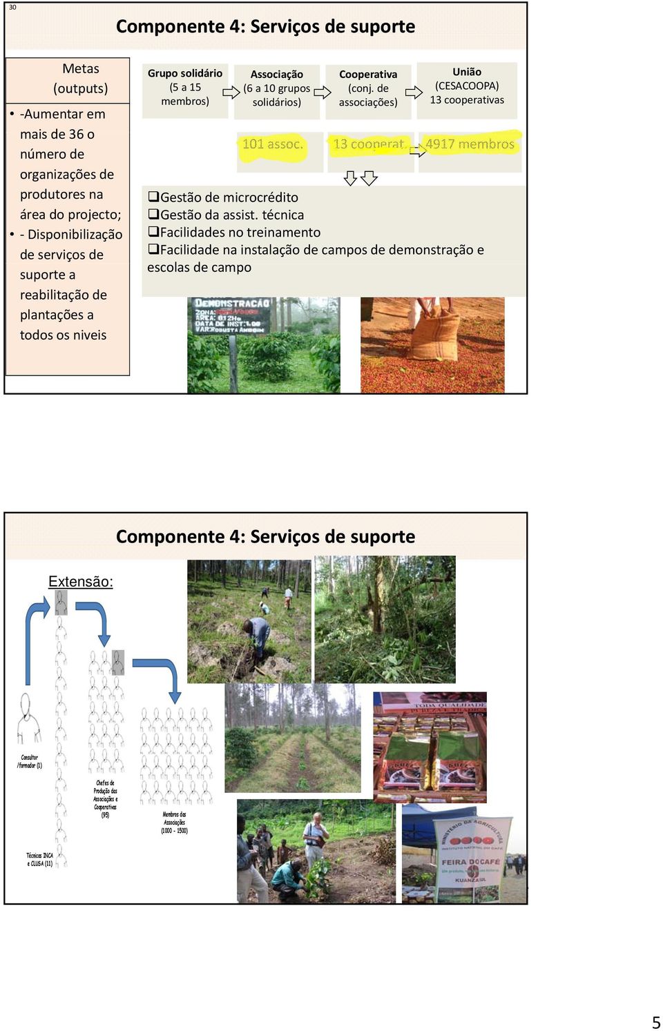 de associações) União (CESACOOPA) 13 cooperativas 13 cooperat. 4917 membros Gestão de microcrédito Gestão da assist.