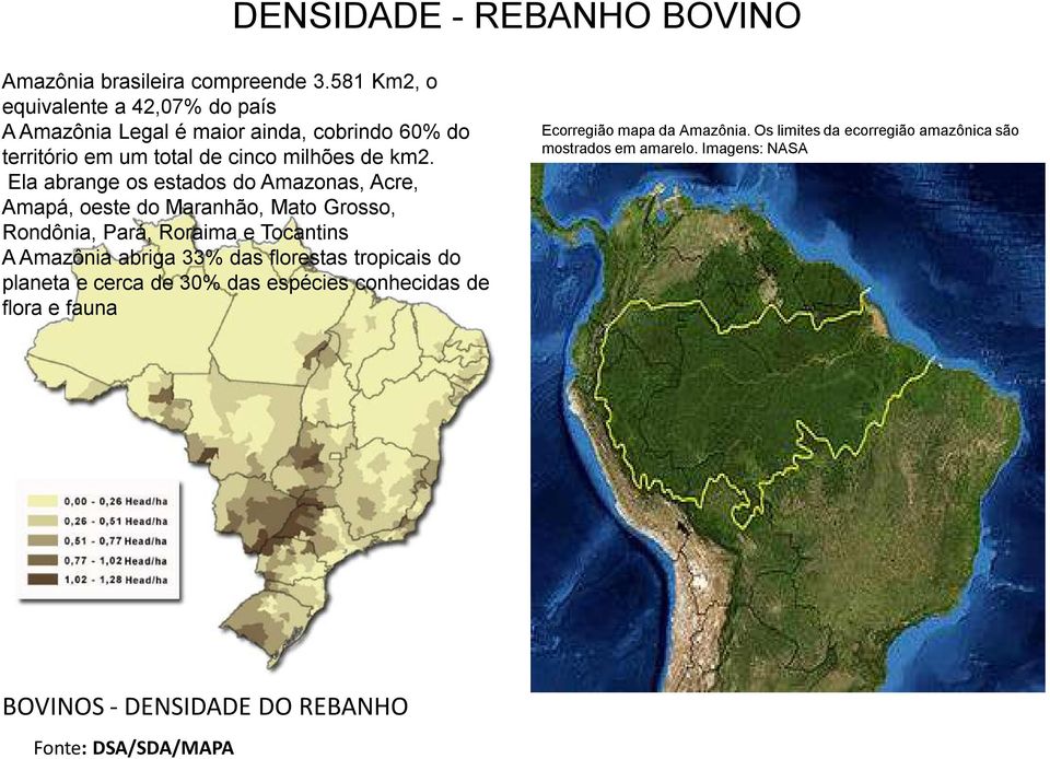 Ela abrange os estados do Amazonas, Acre, Amapá, oeste do Maranhão, Mato Grosso, Rondônia, Pará, Roraima e Tocantins A Amazônia abriga 33% das