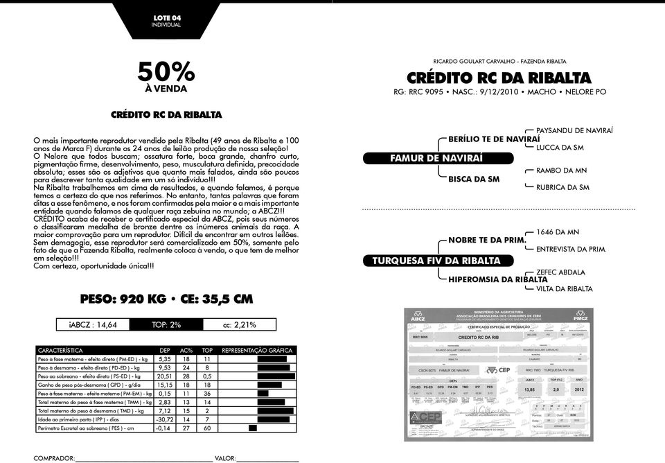 O Nelore que todos buscam; ossatura forte, boca grande, chanfro curto, pigmentação firme, desenvolvimento, peso, musculatura definida, precocidade absoluta; esses são os adjetivos que quanto mais