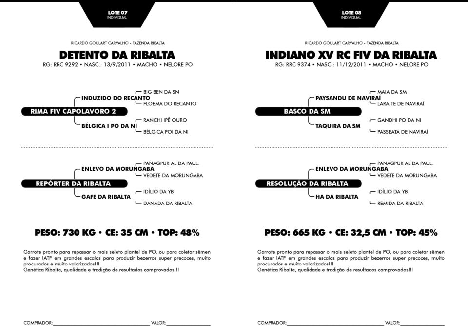 ENLEVO DA MORUNGABA VEDETE DA MORUNGABA REPÓRTER DA RIBALTA GAFE DA RIBALTA IDÍLIO DA YB DANADA DA RIBALTA PANAGPUR AL DA PAUL.