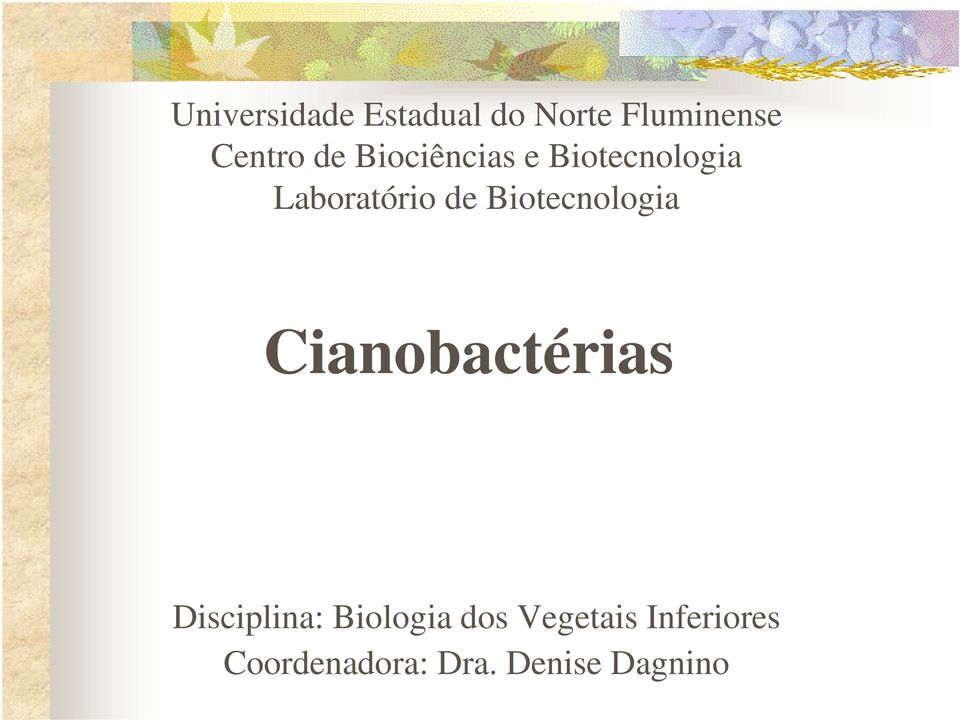 Biotecnologia Cianobactérias Disciplina: Biologia