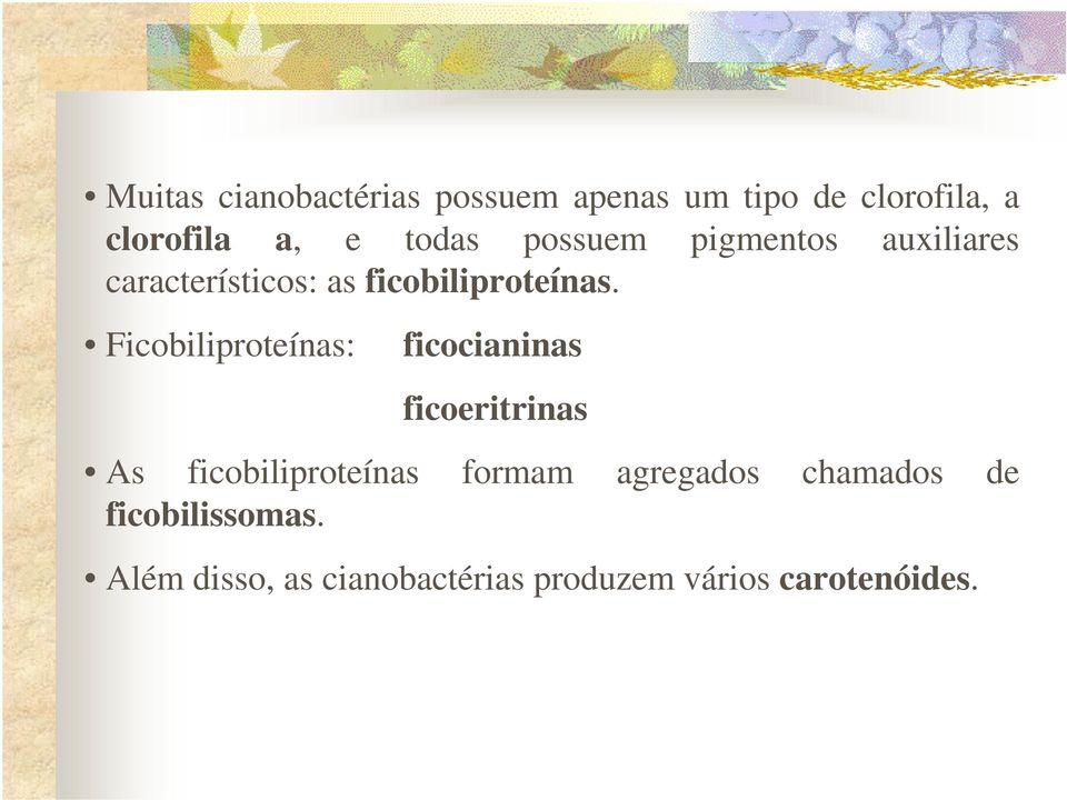 Ficobiliproteínas: ficocianinas ficoeritrinas As ficobiliproteínas formam