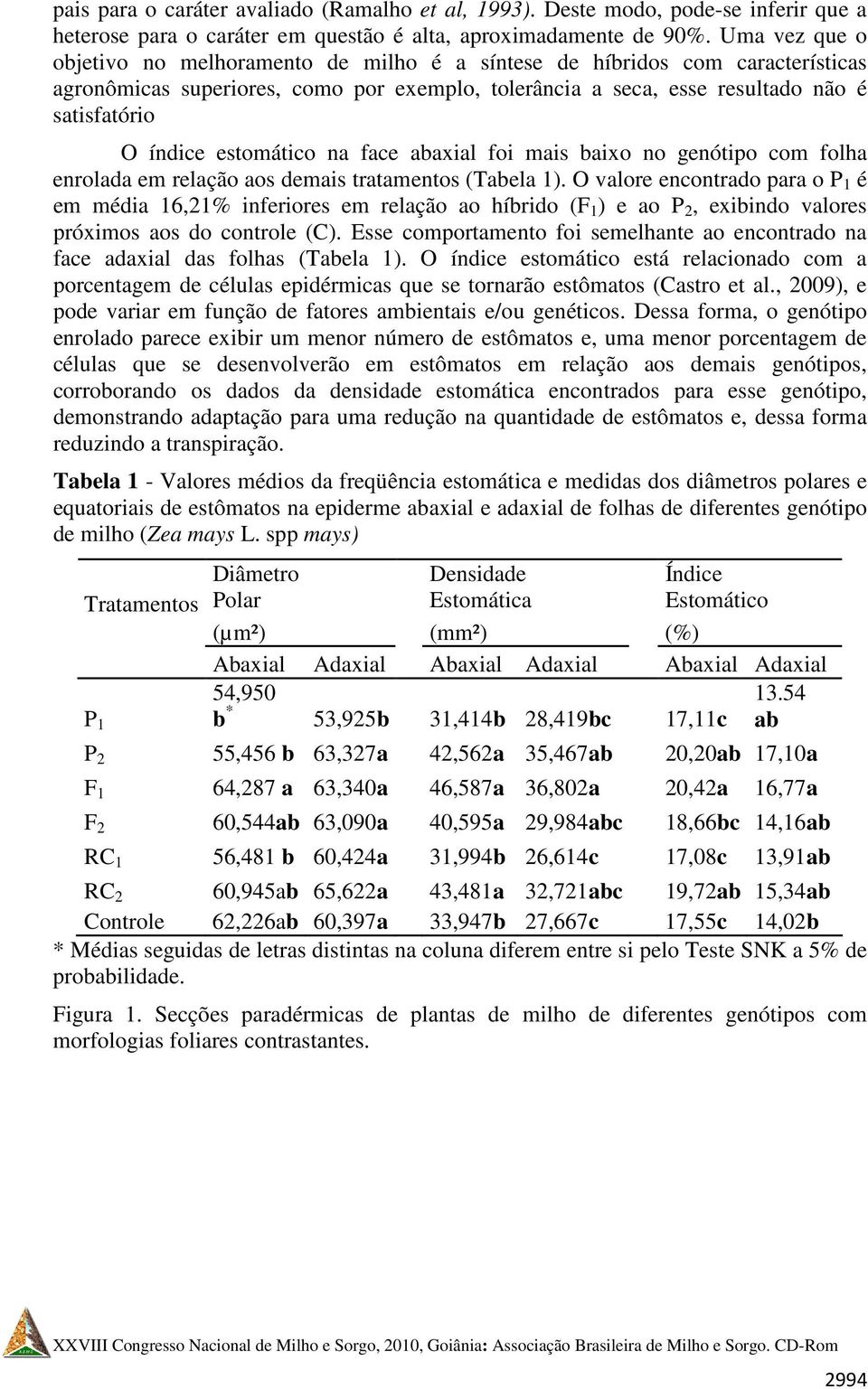 estomático na face abaxial foi mais baixo no genótipo com folha enrolada em relação aos demais tratamentos (Tabela 1).