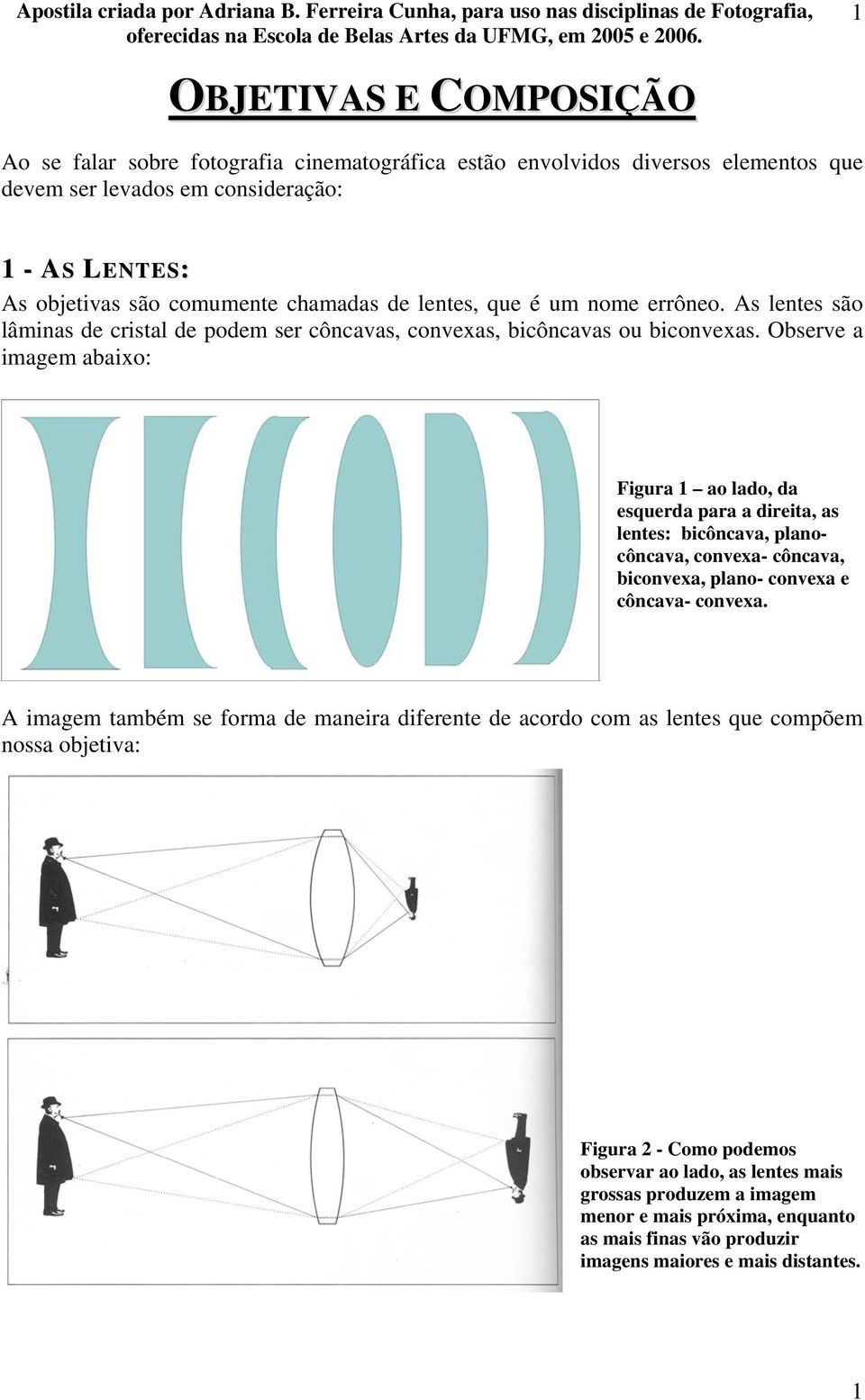 Observe a imagem abaixo: Figura 1 ao lado, da esquerda para a direita, as lentes: bicôncava, planocôncava, convexa- côncava, biconvexa, plano- convexa e côncava- convexa.