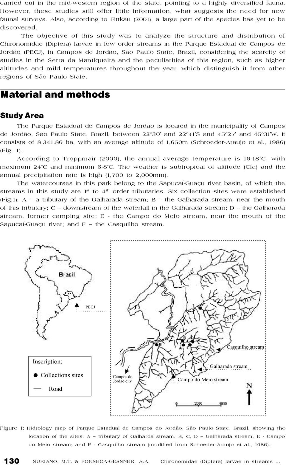 The objective of this study was to analyze the structure and distribution of Chironomidae (Diptera) larvae in low order s in the Parque Estadual de Campos de Jordão (PECJ), in Campos de Jordão, São