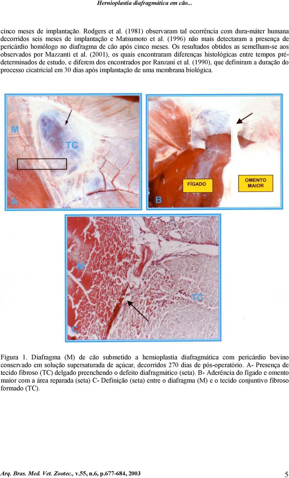 (2001), os quais encontraram diferenças histológicas entre tempos prédeterminados de estudo, e diferem dos encontrados por Ranzani et al.