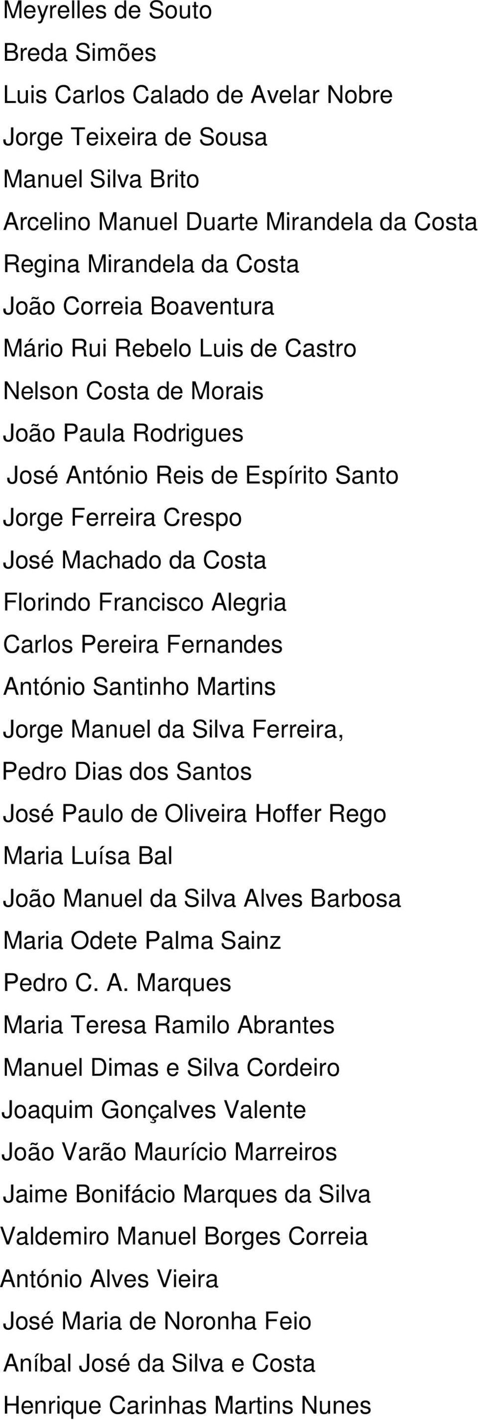 Carlos Pereira Fernandes António Santinho Martins Jorge Manuel da Silva Ferreira, Pedro Dias dos Santos José Paulo de Oliveira Hoffer Rego Maria Luísa Bal João Manuel da Silva Alves Barbosa Maria