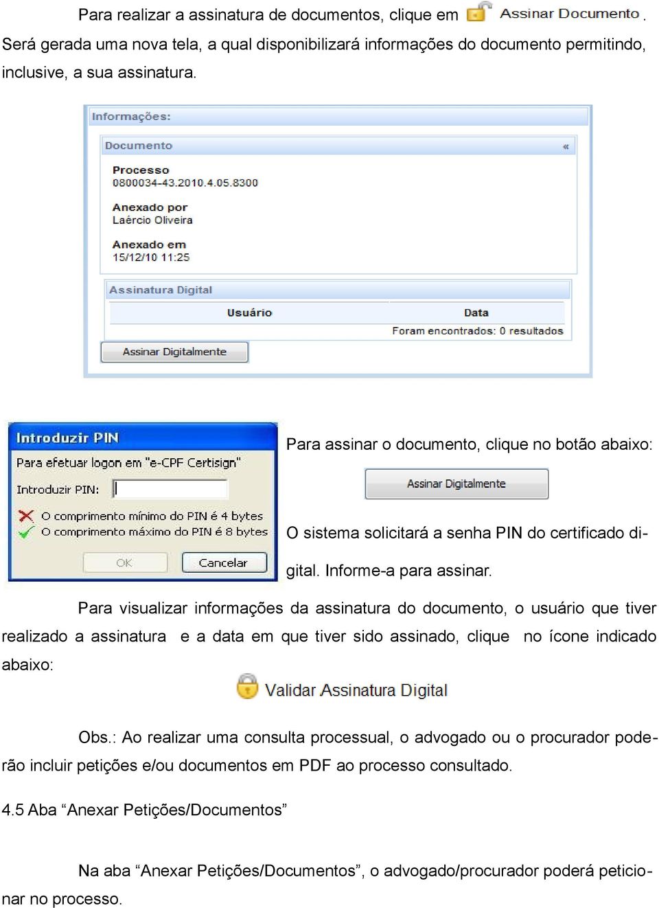 que tiver realizado a assinatura e a data em que tiver sido assinado, clique no ícone indicado abaixo: Obs: Ao realizar uma consulta processual, o advogado ou o procurador poderão