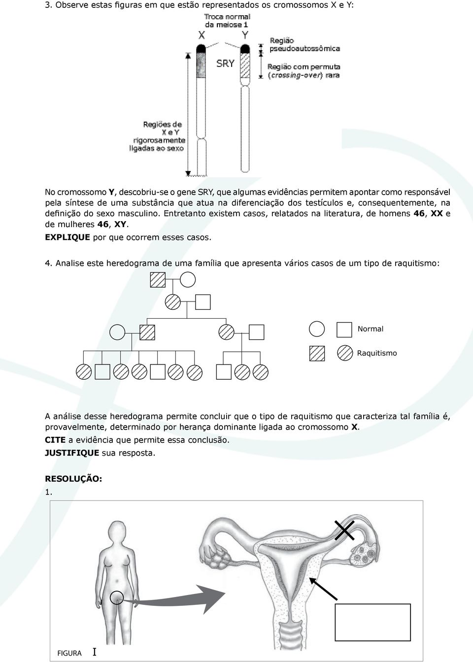 EXPLIQUE por que ocorrem esses casos. 4.