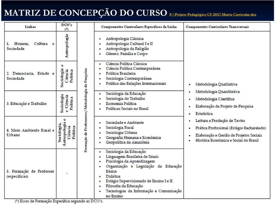 Pedagógico CS