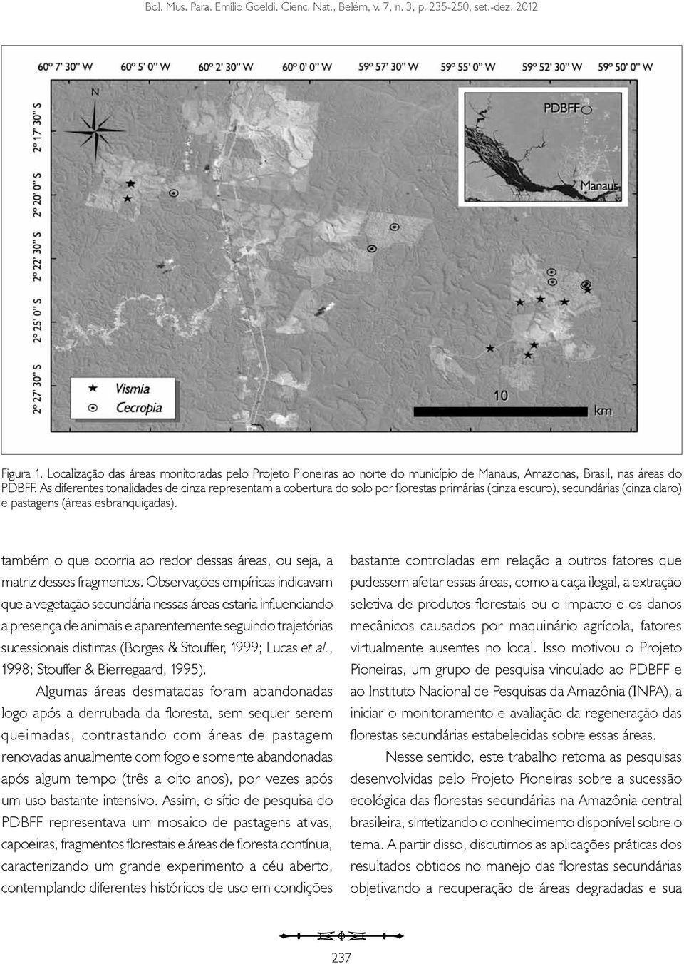 As diferentes tonalidades de cinza representam a cobertura do solo por florestas primárias (cinza escuro), secundárias (cinza claro) e pastagens (áreas esbranquiçadas).