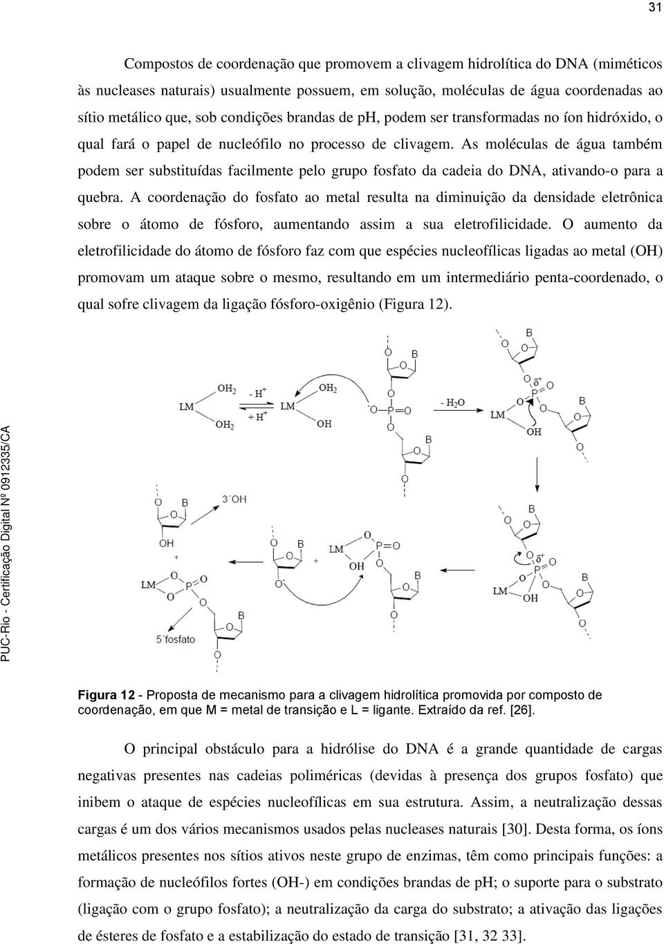 As moléculas de água também podem ser substituídas facilmente pelo grupo fosfato da cadeia do DNA, ativando-o para a quebra.