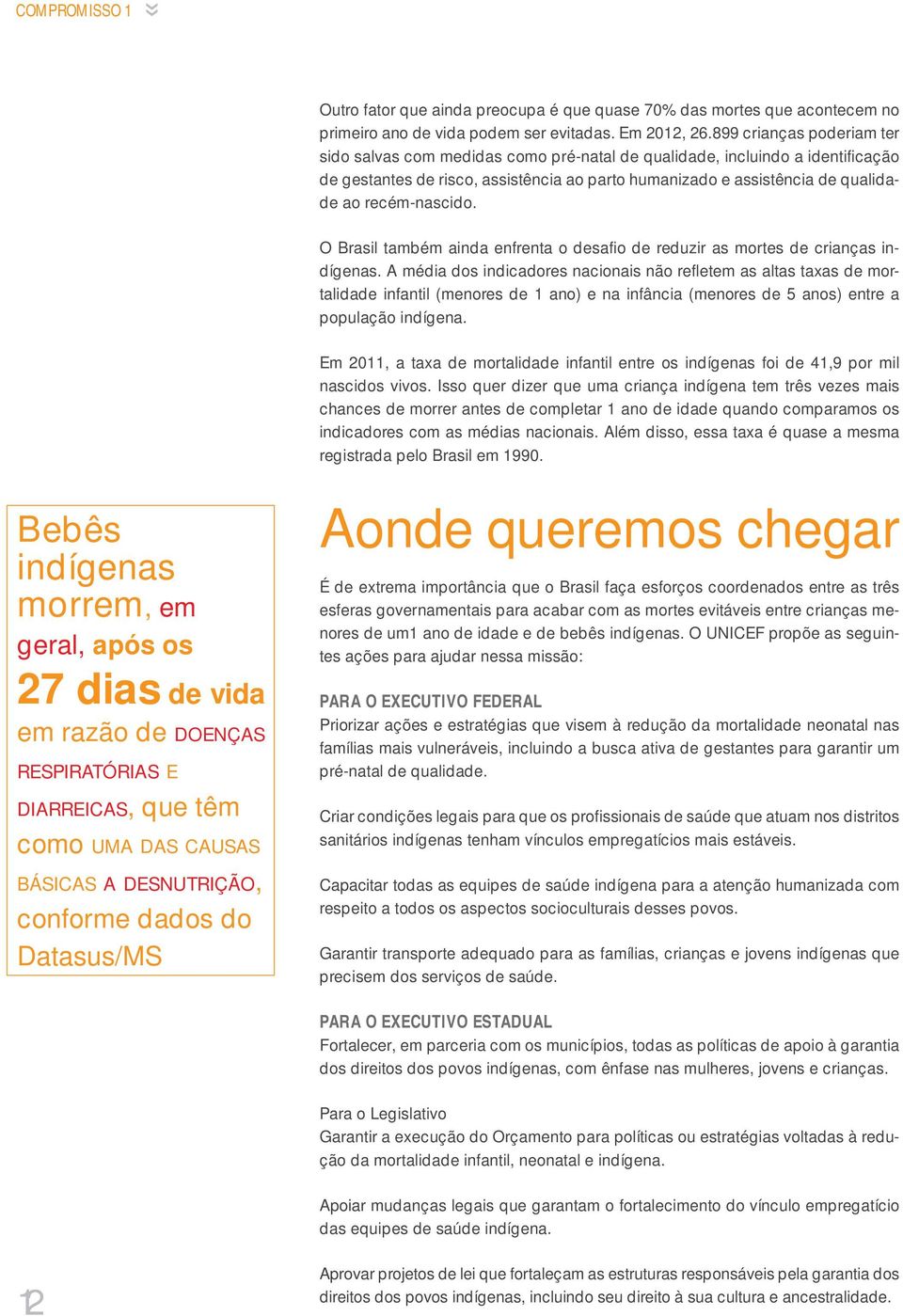 recém-nascido. O Brasil também ainda enfrenta o desafio de reduzir as mortes de crianças indígenas.