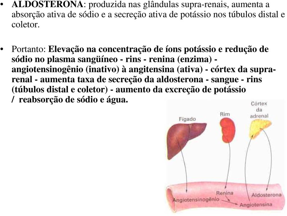 Portanto: Elevação na concentração de íons potássio e redução de sódio no plasma sangüíneo - rins - renina (enzima) -