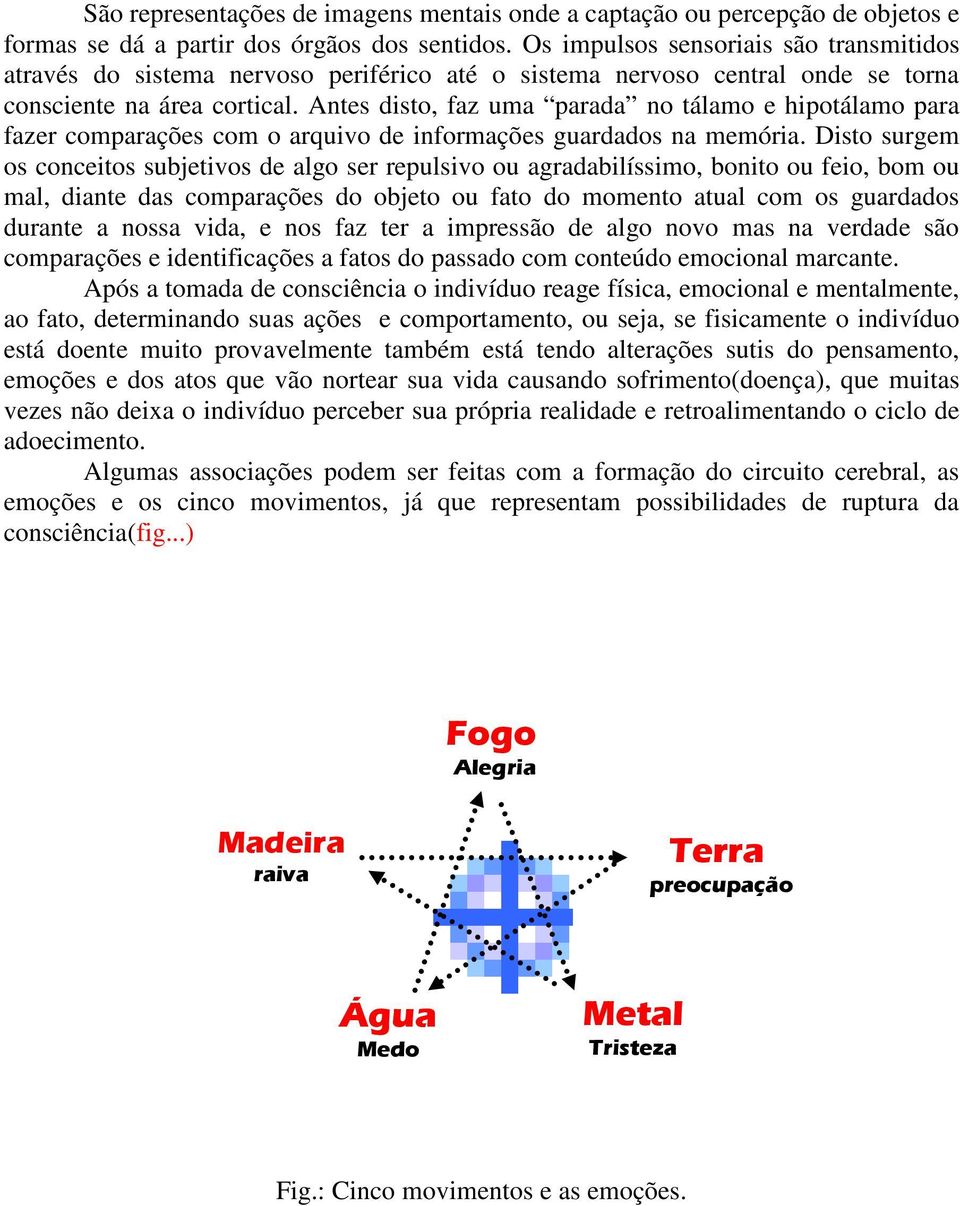 Antes disto, faz uma parada no tálamo e hipotálamo para fazer comparações com o arquivo de informações guardados na memória.