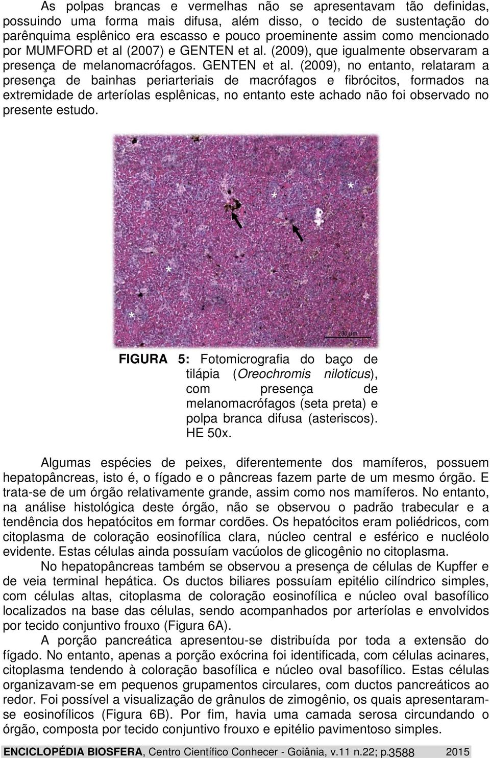 (2009), que igualmente observaram a presença de melanomacrófagos. GENTEN et al.