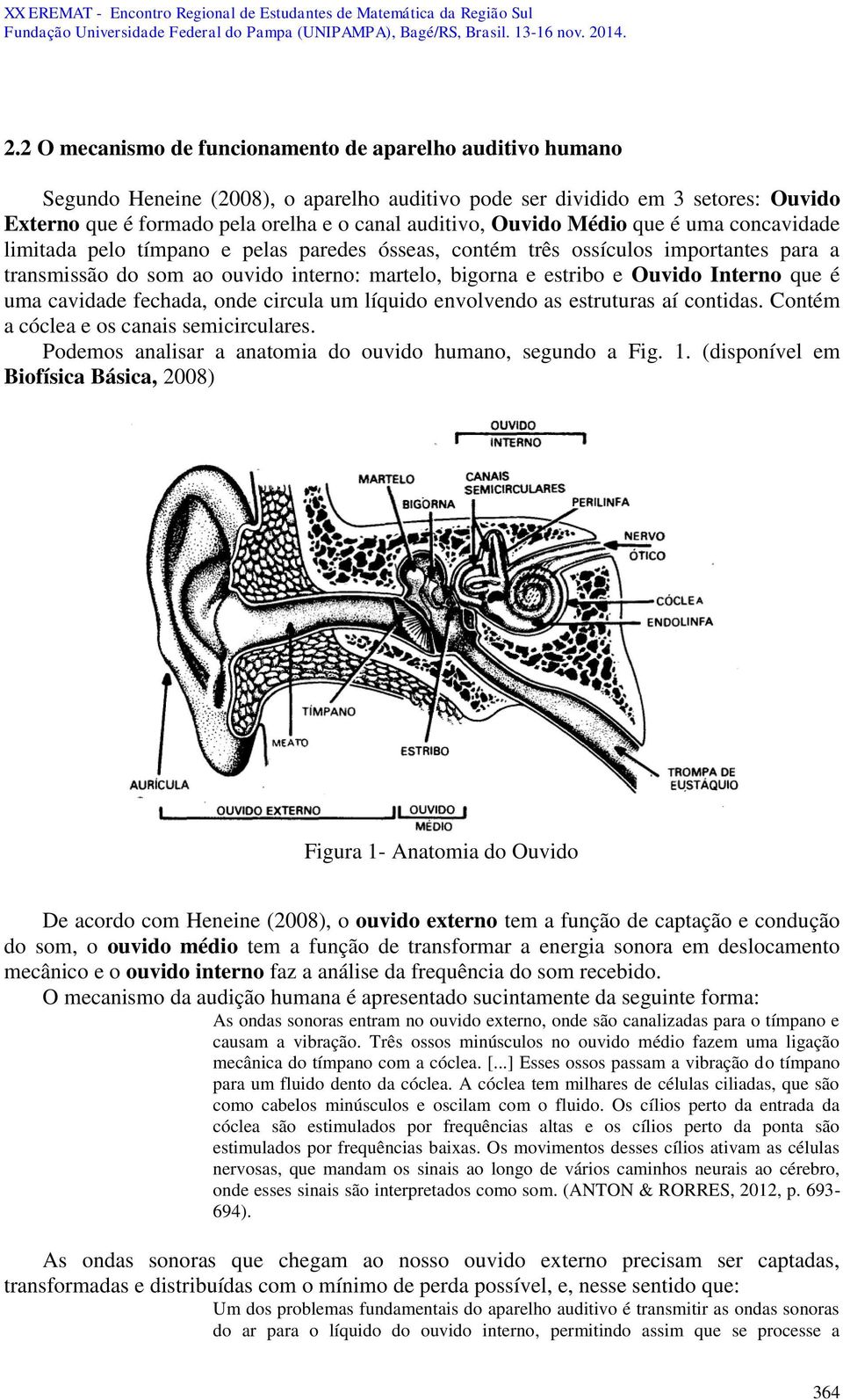 Interno que é uma cavidade fechada, onde circula um líquido envolvendo as estruturas aí contidas. Contém a cóclea e os canais semicirculares.