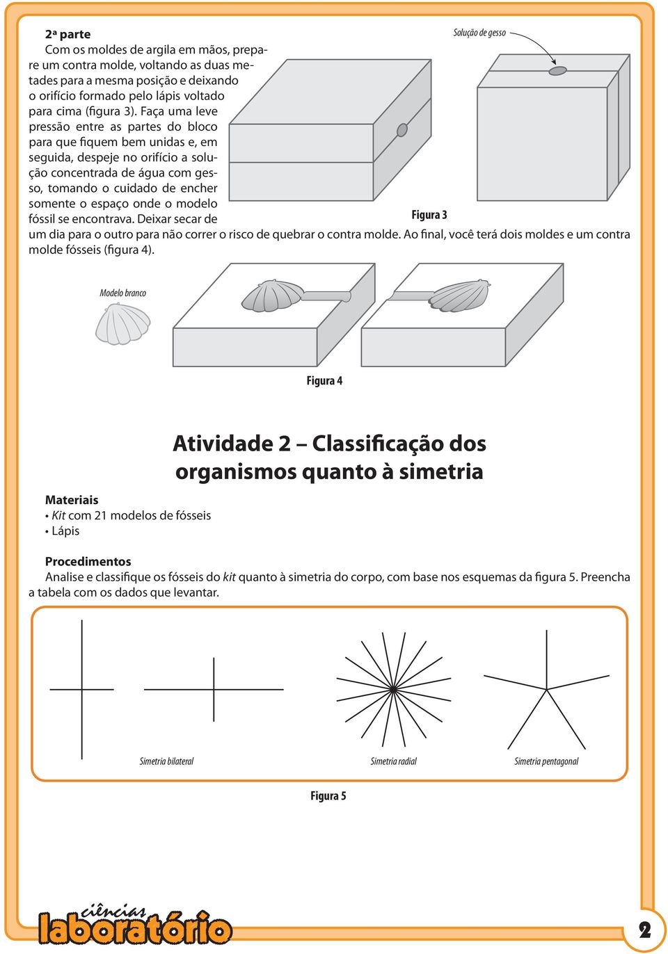 o modelo fóssil se encontrava. Deixar secar de Figura 3 um dia para o outro para não correr o risco de quebrar o contra molde. Ao final, você terá dois moldes e um contra molde fósseis (figura 4).