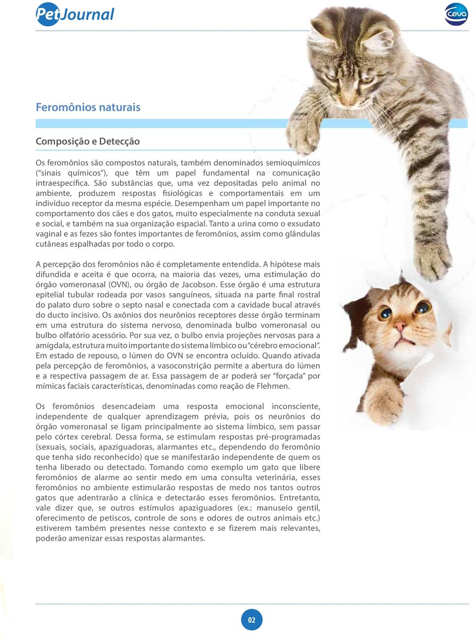 Desempenham um papel importante no comportamento dos cães e dos gatos, muito especialmente na conduta sexual e social, e também na sua organização espacial.