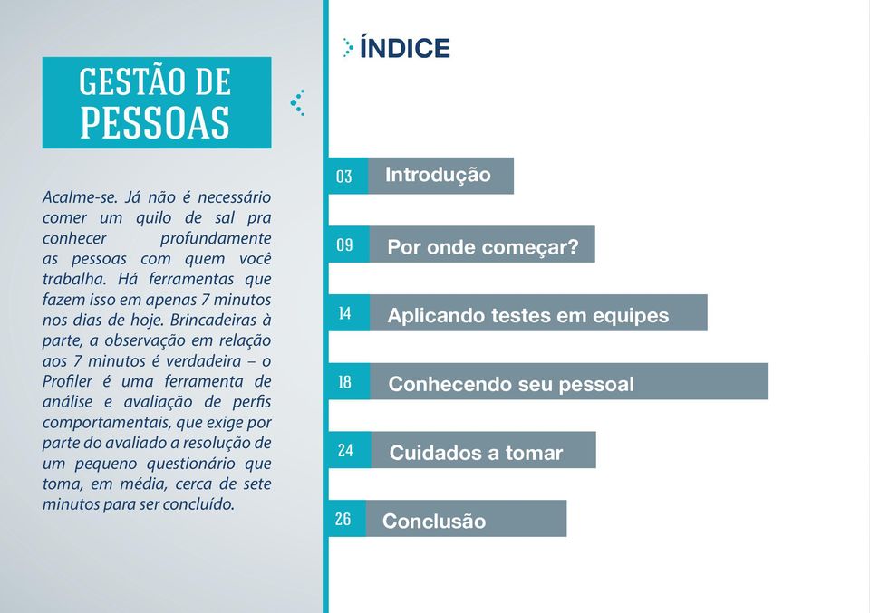 Brincadeiras à parte, a observação em relação aos 7 minutos é verdadeira o Profiler é uma ferramenta de análise e avaliação de perfis comportamentais, que