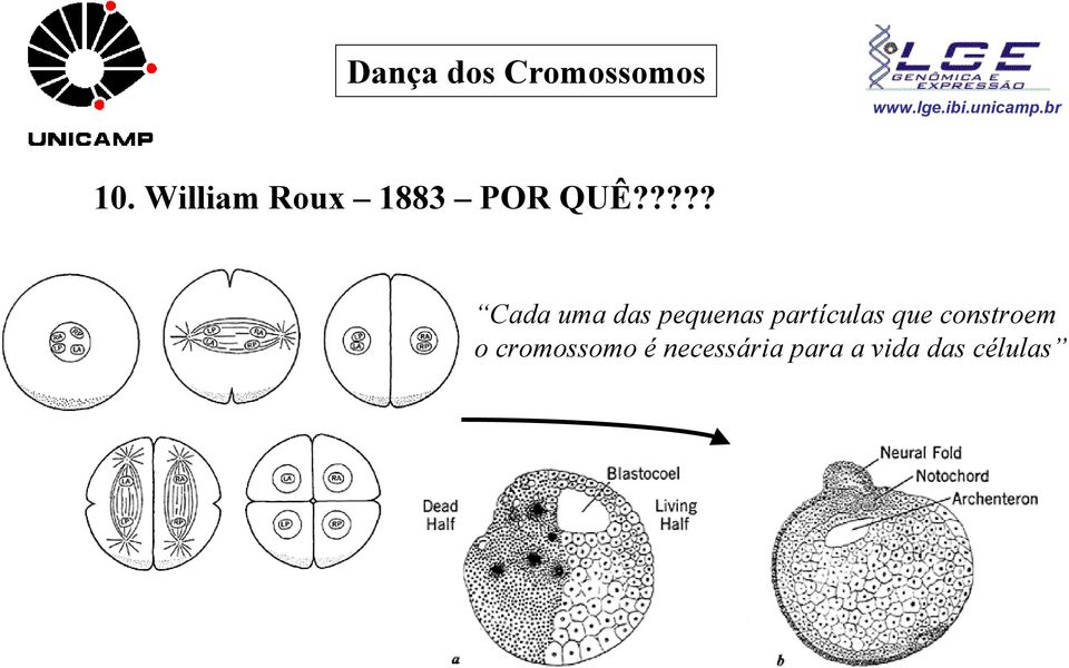 ???? Cada uma das pequenas partículas