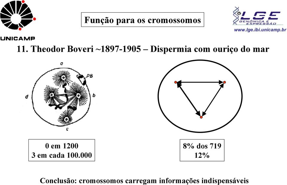 do mar 0 em 1200 3 em cada 100.