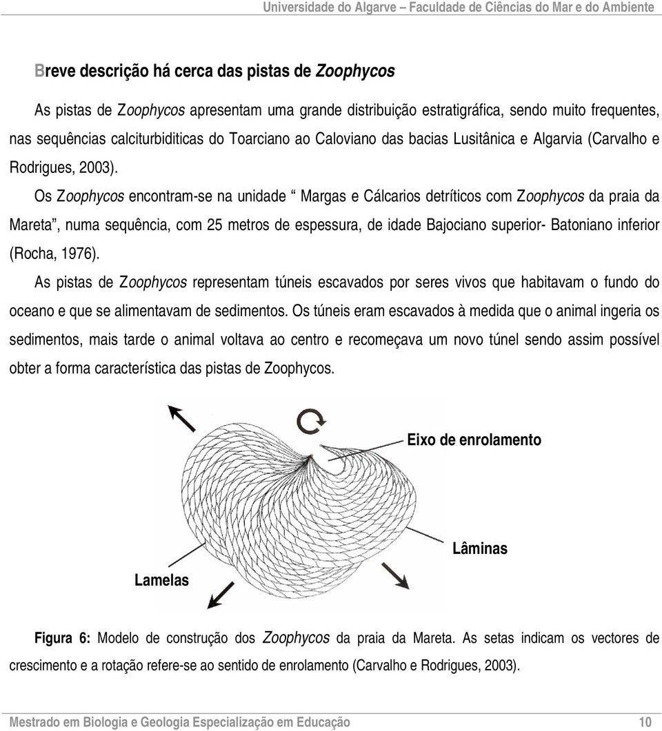 Os Zoophycos encontram-se na unidade Margas e Cálcarios detríticos com Zoophycos da praia da Mareta, numa sequência, com 25 metros de espessura, de idade Bajociano superior- Batoniano inferior