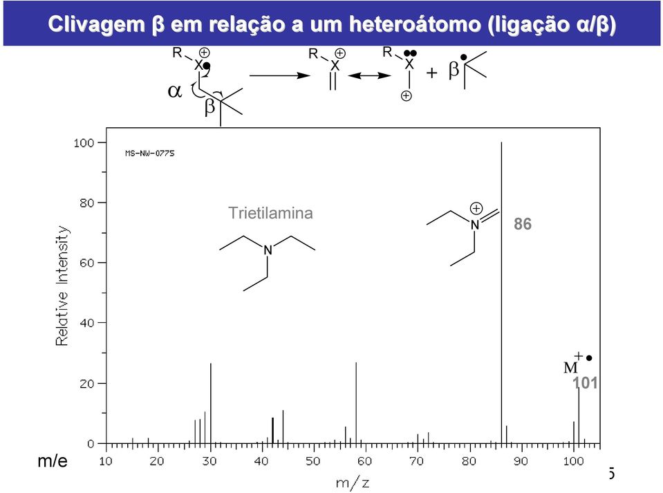 α/β) X α β + X X β