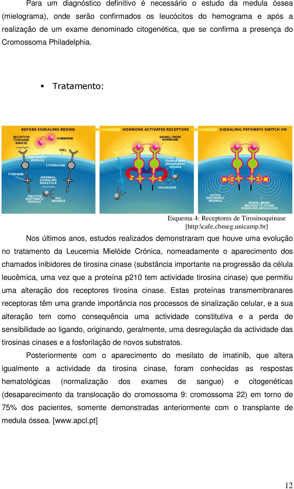 Tratamento: Nos últimos anos, estudos realizados demonstraram que houve uma evolução no tratamento da Leucemia Mielóide Crónica, nomeadamente o aparecimento dos chamados inibidores de tirosina cinase