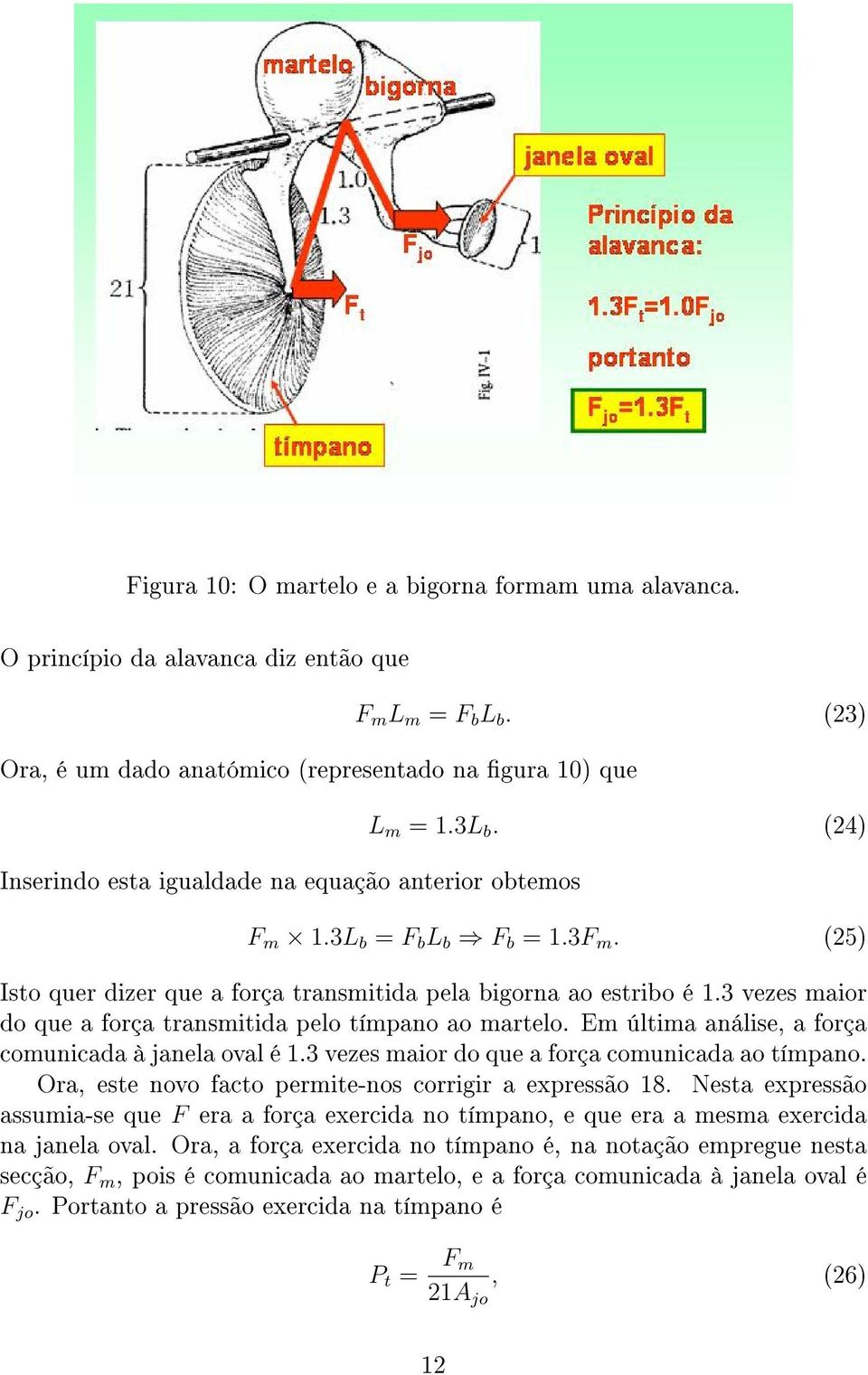 (25) Isto quer dizer que a força transmitida pela bigorna ao estribo é 1.3 vezes maior do que a força transmitida pelo tímpano ao martelo. Em última análise, a força comunicada à janela oval é 1.