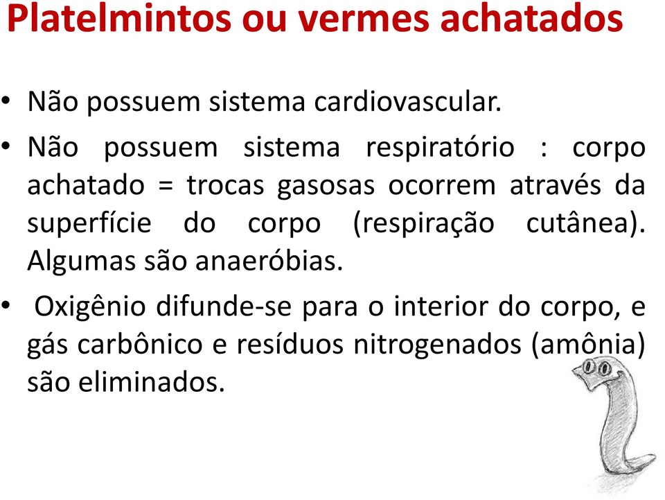 da superfície do corpo (respiração cutânea). Algumas são anaeróbias.