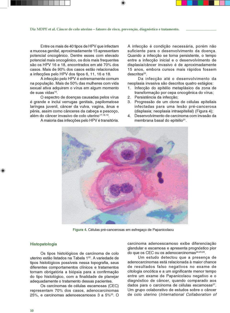 Dentre esses com elevado potencial mais oncogênico, os dois mais frequentes são os HPV 16 e 18, encontrados em até 70% dos casos.