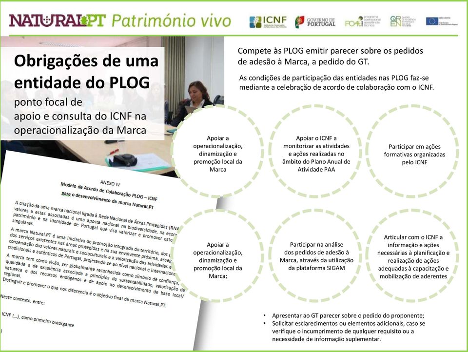 Apoiar o ICNF a monitorizar as atividades e ações realizadas no âmbito do Plano Anual de Atividade PAA Participar em ações formativas organizadas pelo ICNF Apoiar a operacionalização, dinamização e