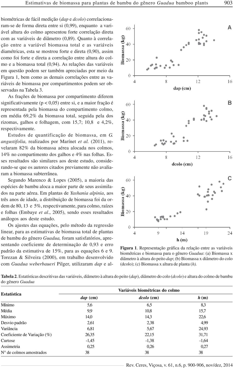 Quanto à correlação entre a variável biomassa total e as variáveis diamétricas, esta se mostrou forte e direta (0,90), assim como foi forte e direta a correlação entre altura do colmo e a biomassa