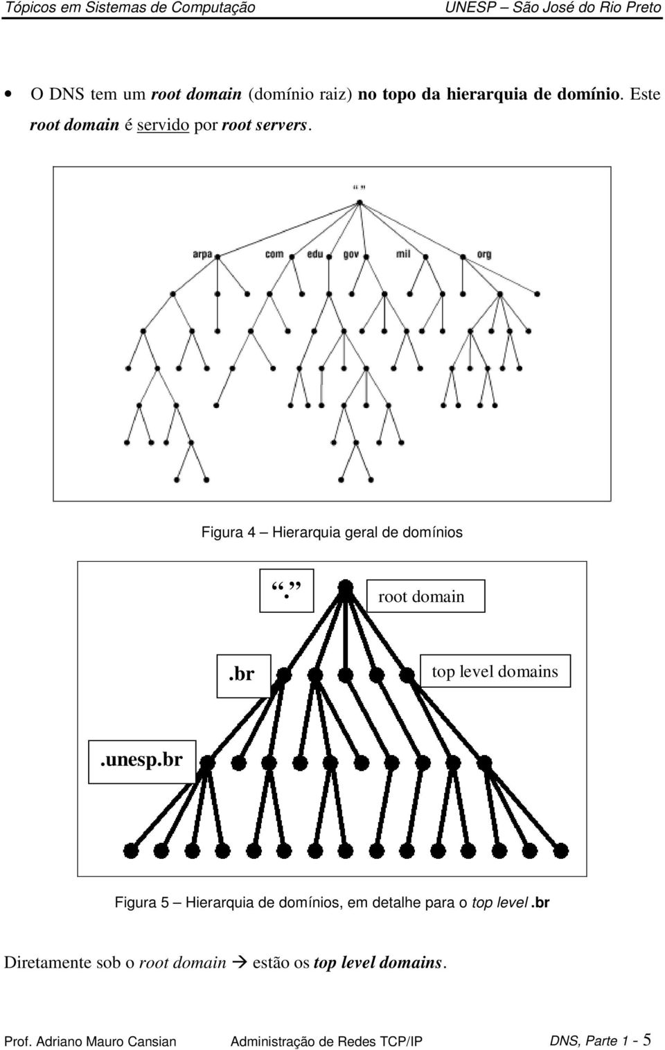 unesp.br Figura 5 Hierarquia de domínios, em detalhe para o top level.
