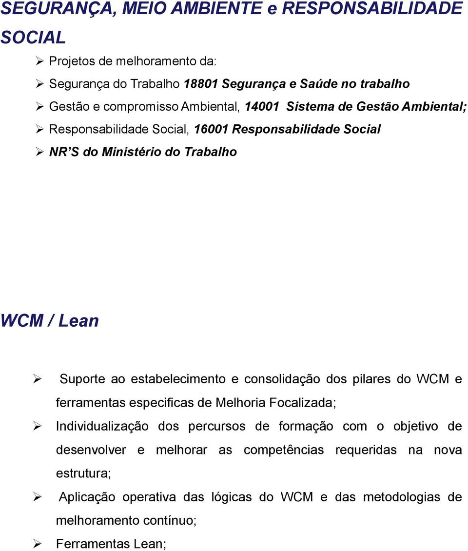 estabelecimento e consolidação dos pilares do WCM e ferramentas especificas de Melhoria Focalizada; Individualização dos percursos de formação com o objetivo de