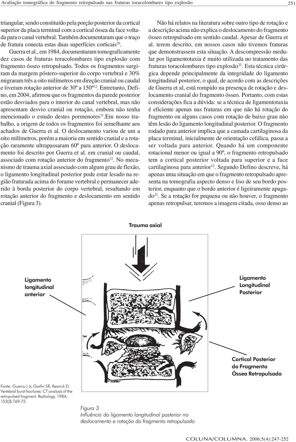, em 1984, documentaram tomograficamente dez casos de fraturas toracolombares tipo explosão com fragmento ósseo retropulsado.