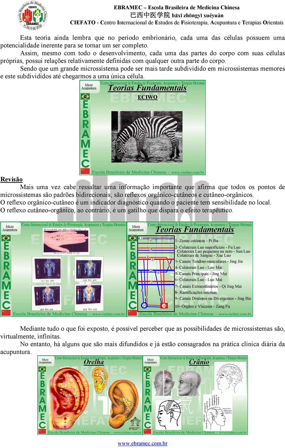 Sendo que um grande microssistema pode ser mais tarde subdividido em microssistemas memores e este subdivididos até chegarmos a uma única célula.