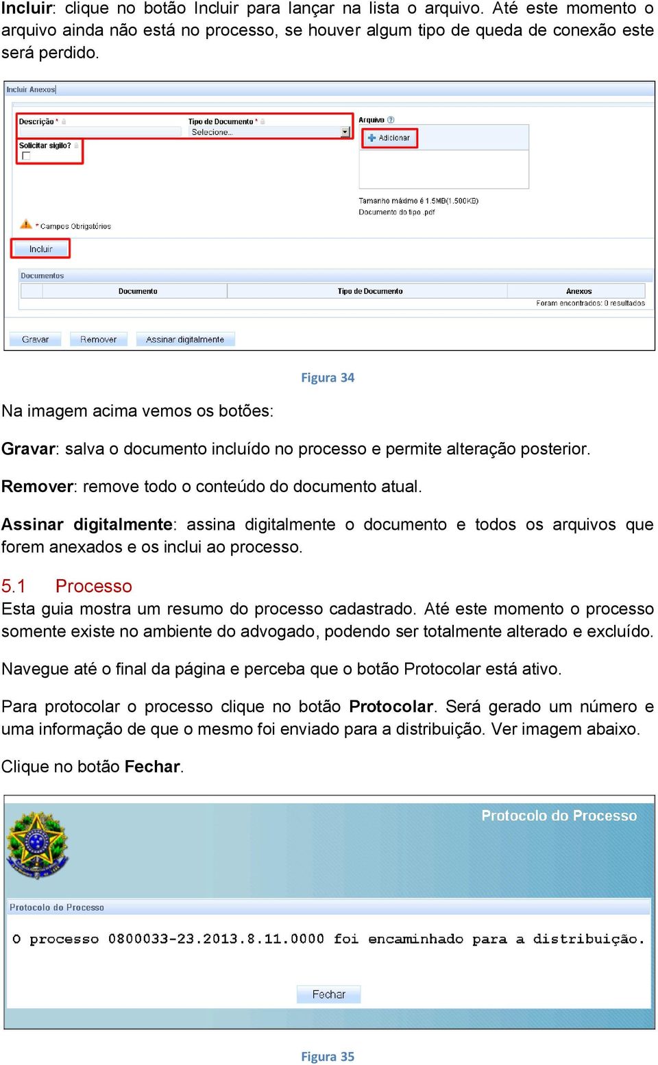 Assinar digitalmente: assina digitalmente o documento e todos os arquivos que forem anexados e os inclui ao processo. 5.1 Processo Esta guia mostra um resumo do processo cadastrado.