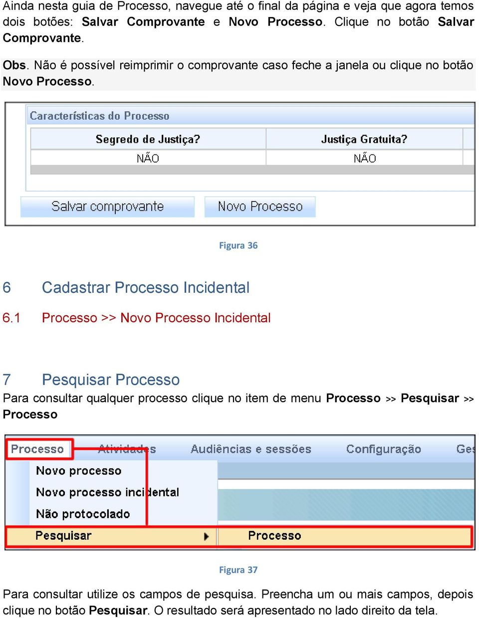 Figura 36 6 Cadastrar Processo Incidental 6.