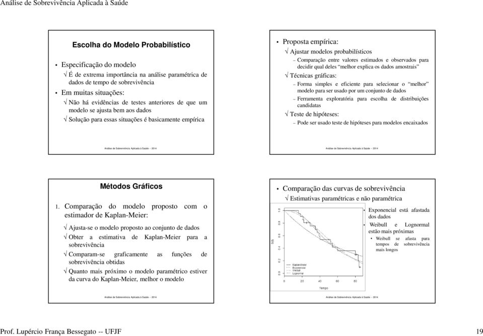 decidir qual deles melhor explica os dados amostrais Técnicas gráficas: Forma simples e eficiente para selecionar o melhor modelo para ser usado por um conjunto de dados Ferramenta exploratória para