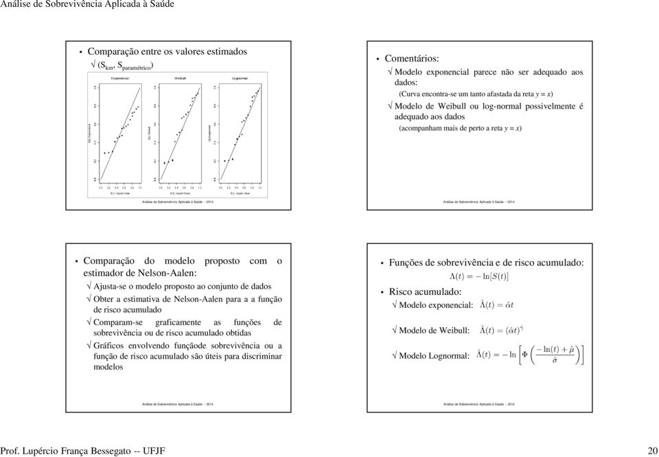 dados Obter a estimativa de Nelson-Aalen para a a função de risco acumulado Comparam-se graficamente as funções de sobrevivência ou de risco acumulado obtidas Gráficos envolvendo funçãode