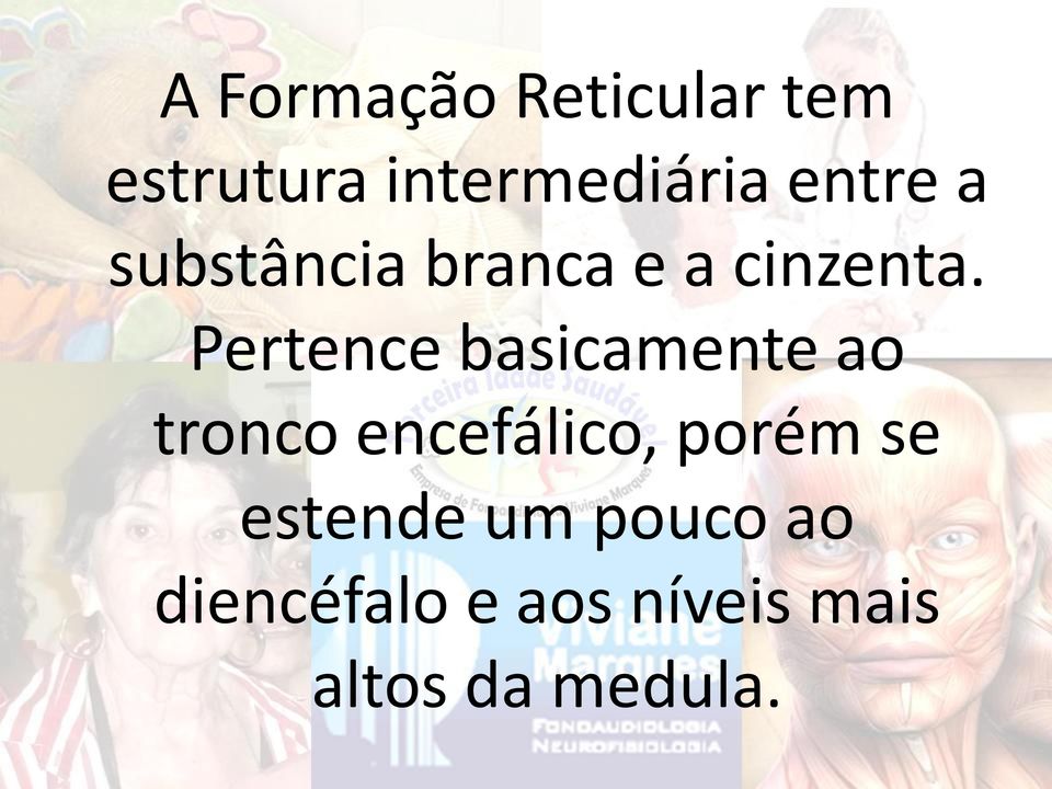 Pertence basicamente ao tronco encefálico, porém se